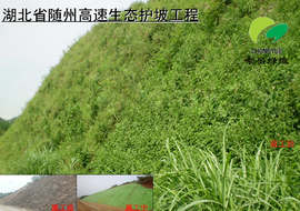 生態(tài)袋公路鐵路護(hù)坡工程案例