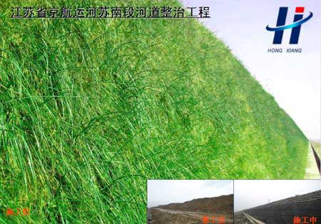 江蘇省京杭運河蘇南段河道整治工程