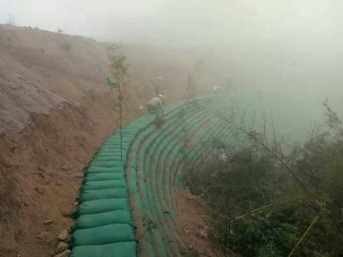 生態(tài)袋廠家解析生態(tài)袋行業(yè)在國內(nèi)與國際市場銷量對比