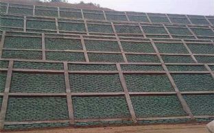 生態袋與石籠網在保護河道中哪個更好?