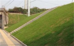 一種具備營(yíng)養(yǎng)功能的無(wú)紡?fù)凉た椢铩獱I(yíng)養(yǎng)土工布