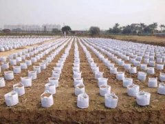 無紡布宏祥美植袋和無紡布育苗袋的有什么區(qū)別