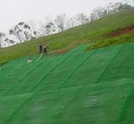 高強度土工網可以提高地基的承載能力及穩定性