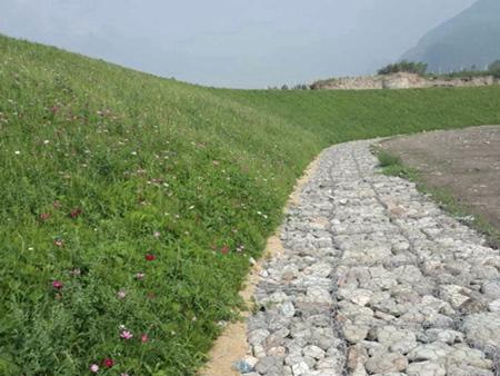 三維加筋環(huán)保綠化毯