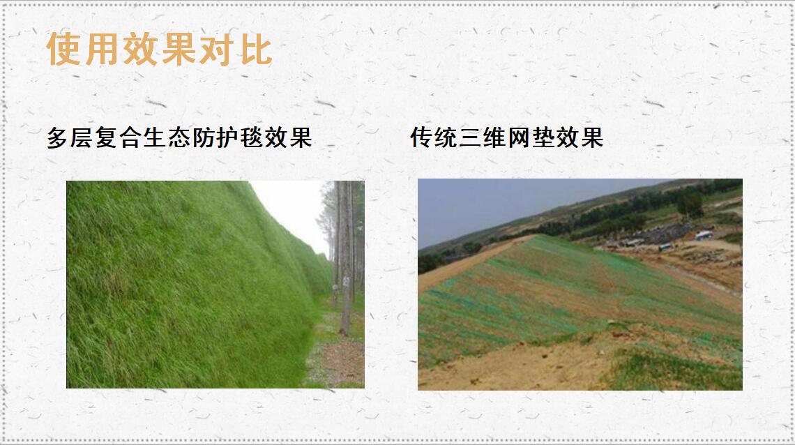 多層生態防護毯效果對比